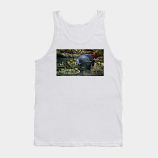 French Angelfish Tank Top